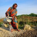 ‘Clock is ticking’: Hormuz disruption raises fears of global food crisis
