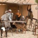 Mali: Guterres calls for international solutions to curb spread of violent extremism in the Sahel
