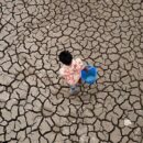 Global temperatures set to stay near record levels: UN weather agency