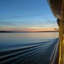 WHO leads response to cruise ship hantavirus outbreak