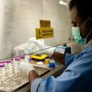 Wider hantavirus outbreak risk is ‘absolutely low’, insists UN health agency