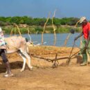 Middle East conflict leaves developing countries paying the price