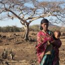 El Niño confirmed, set to fuel more extreme weather, says WMO