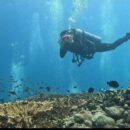 ‘The ocean has no boundaries’: Beauty and life in a war zone