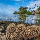 Humanity’s future depends on protecting the rapidly changing ocean