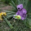 ‘Darkest chapter’: Record child violations in 2025, with national forces leading the way