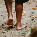 New WHO plan urges stronger action against fungal disease