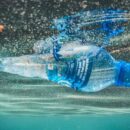 Five things you need to know about ocean plastics