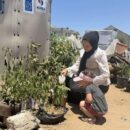 Reviving communities home by home in Gaza
