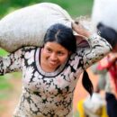 Colombia: Pockets of insecurity challenge ‘vibrant democracy’, Security Council told