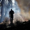 Wildfire smoke poses hidden health threat