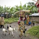 World News in Brief: Sexual violence in DR Congo, deaths in Ukraine and Russia, crime in Southeast Asia