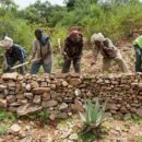 Protecting our ‘most vital infrastructure’: Pushing back on desertification