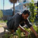 Gaza: Children still at risk despite drop in acute hunger