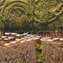 Land models sprout as degradation threatens billions of livelihoods