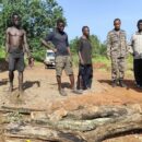 As elections near, South Sudan risks new atrocity crimes, warns rights probe