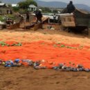 ‘The lake is our life’: Protecting a shared lifeline in Uganda