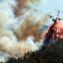 As wildfires spread north, UN agencies race to help Europe adapt