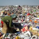 Rotting food waste emits 5 times more greenhouse gases than planes